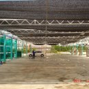 대박세차장 이미지