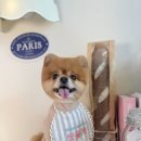 씻을개 이미지