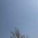비비큐(BBQ)(애막골점) | 시간을 거슬러(긴 이야기)