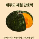 ◆달달한 제주 단호박 밤호박 보우짱 예약판매 개시 ◆ 이미지