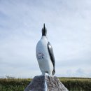 기차우컴퓨터세탁소 | 두 번째 내 차로 일본 여행 4일차(2/2)