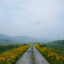익산천 Daum카페