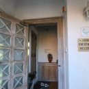 제주 자고가 이미지