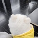 칸토천안 이미지