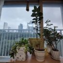 선수촌공원로R 이미지