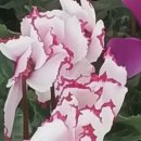 청호수마을 이미지