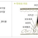 경주미용실 이미지