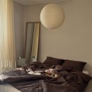 위브세탁 | 고유 침구 후기 | 젠틀위브 브라운 베딩 사계절 이불 추천, 세탁·건조기 가능한 침구