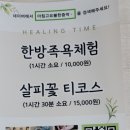 아침고요체험 살피꽃다방 이미지