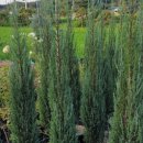 초정농장 이미지