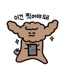 율무네애견 이미지