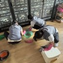 완도가구
