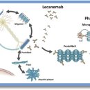 한국에자이(주) 이미지