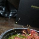 종명농장 이미지