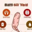 홍삼의효능 안좋은점 사포닌 칼로리 홍삼 먹으면 좋은점 이미지