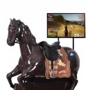 대원포티스 이미지