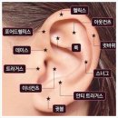 경성피어싱