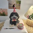 마닐마닐 이미지