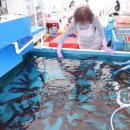 난전매운탕 이미지