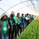 분당태양광발전소 이미지