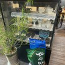 만정 | 인천맛집_인천 논현동 정성이 가득 담긴 가성비 한정식 만정정식후기[만정]
