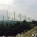 신안컨트리클럽 이미지