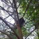 오지농장 이미지