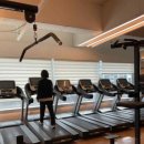 다모이세 이미지