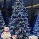 카페그냥 이미지