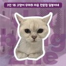 달봉이네 대연점 이미지