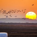 천수만로 이미지