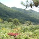 덕우농장 이미지