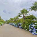 성산읍 푸른마을 이미지