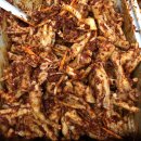 간이역식당 네이버블로그