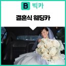 빅카 이미지