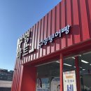 구영마트 | [구영붕어빵] 강릉 내돈내산 두바이 붕어빵 맛집 (초코가 미쳤어요)