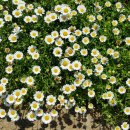 한길타조농장 이미지