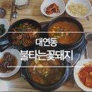 불타는꽃돼지 이미지