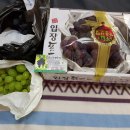 지민농장 이미지