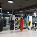 용인대석사복싱 이미지