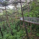 모두와 하루(무장애 여행) | 창녕에서 한 달 여행하기(보름살기) 1. 화왕산자연휴양림 무장애나눔길 전망대