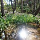 화현생태공원 이미지