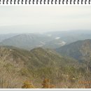 응봉산농장 이미지