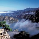 느티나무집민박 이미지