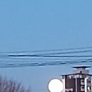 둥근달이 뜨는 밤. 이미지