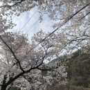 오티주유소