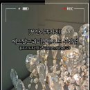 앤에스알-자전거의류 | [부산가족사진] 에스알그라피온앤오프 부산점(부산 수영)
