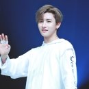 와이틴