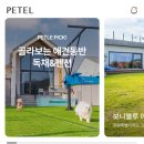 토끼집스테이 이미지