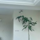 동광리-12 이미지